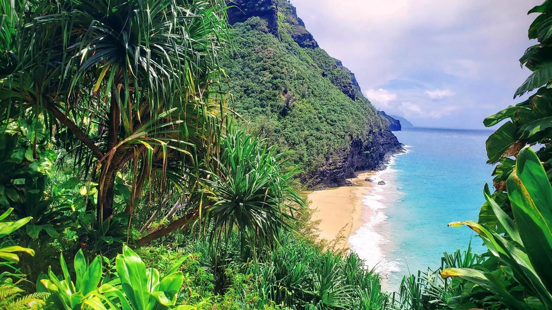 Poipu Sands 214 科洛阿 度假居